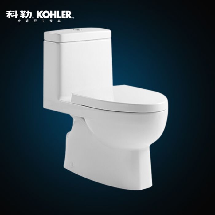 瑞琦“3/4.8升五級旋風(fēng)綠能”連體座便器（ K-3983T-S2-0） 305MM坑距-含瑞琦緩降座便器蓋板凈雅版