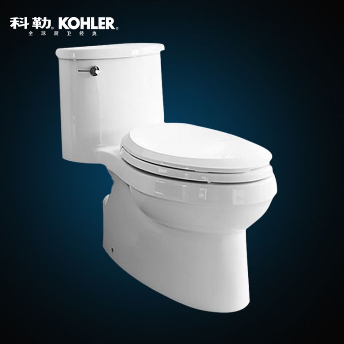 科勒（K-5171T-CM-0_BJ）艾黛兒“4.2升五級旋風(fēng)綠能”連體座便器305MM坑距（含4713法弧型緩降座便器蓋板）